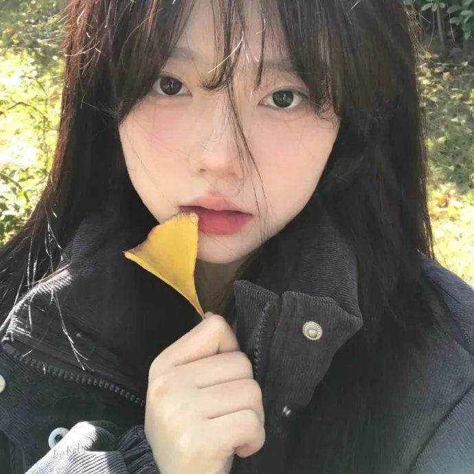 青春海外